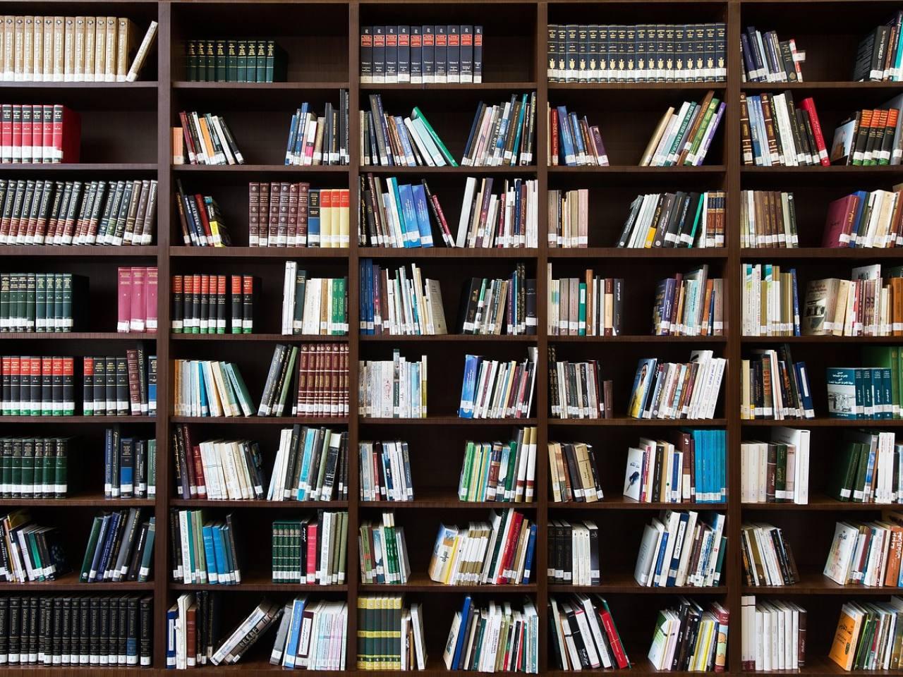 Boiserie con libreria integrata